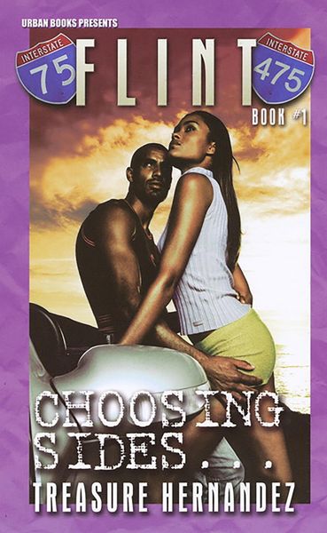 Produktbild: Flint Book 1: