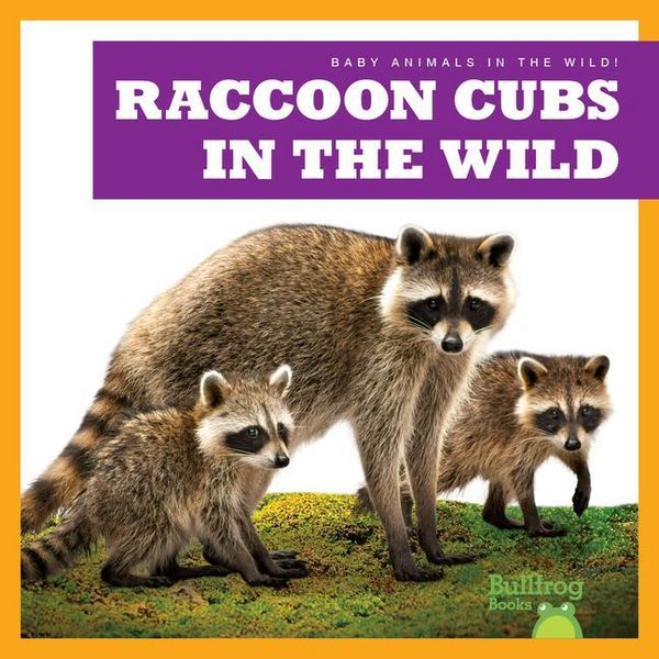 Produktbild: Raccoon Cubs in the Wild