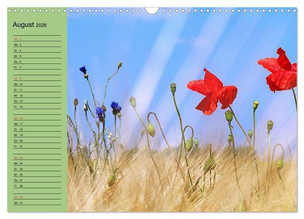 Produktbild: Mohnblumen Tr&auml;ume (Wandkalender 2026 DIN A3 quer), CALVENDO Monatskalender