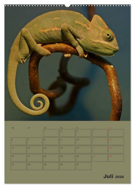 Produktbild: Minidrachen - Die kleinen Nachkommen der Urzeitmonster (hochwertiger Premium Wandkalender 2026 DIN A2 hoch), Kunstdruck in Hochglanz
