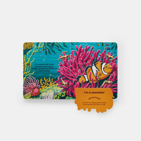 Produktbild: Who's Hiding Under the Sea?