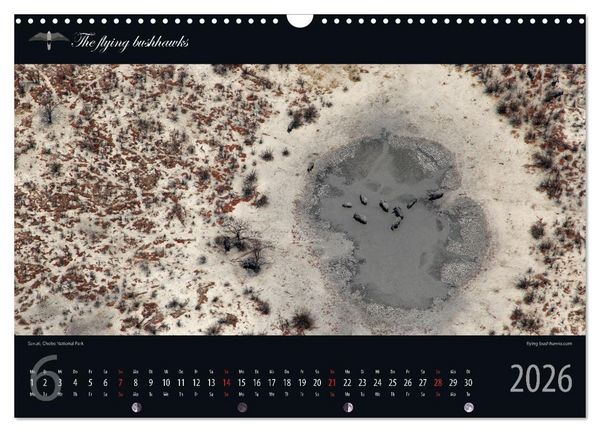 Produktbild: Botswana Blickwinkel 2026 (Wandkalender 2026 DIN A3 quer), CALVENDO Monatskalender