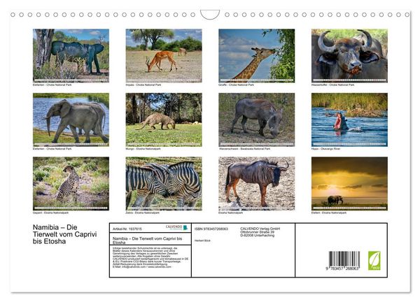 Produktbild: Namibia &ndash; Die Tierwelt vom Caprivi bis Etosha (Wandkalender 2026 DIN A3 quer), CALVENDO Monatskalender