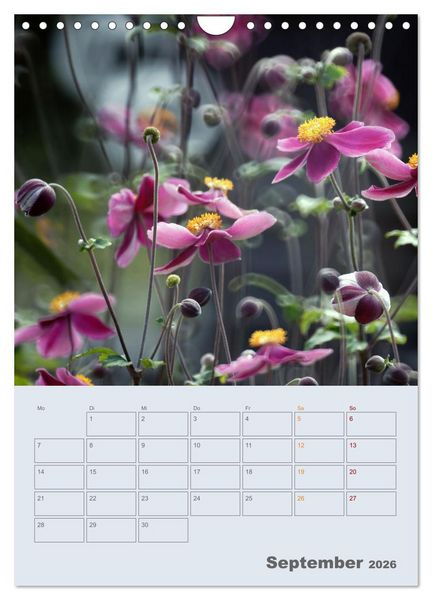 Produktbild: Magie im Garten (Wandkalender 2026 DIN A4 hoch), CALVENDO Monatskalender