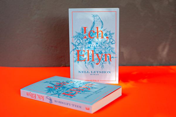 Produktbild: Ich, Ellyn