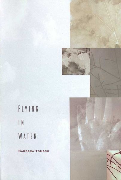 Produktbild: Flying in Water
