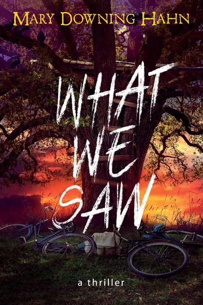 Produktbild: What We Saw