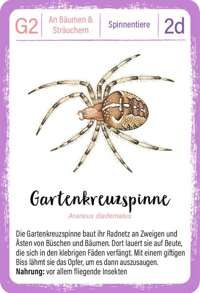 Produktbild: Expedition Natur Quartett Minimonster