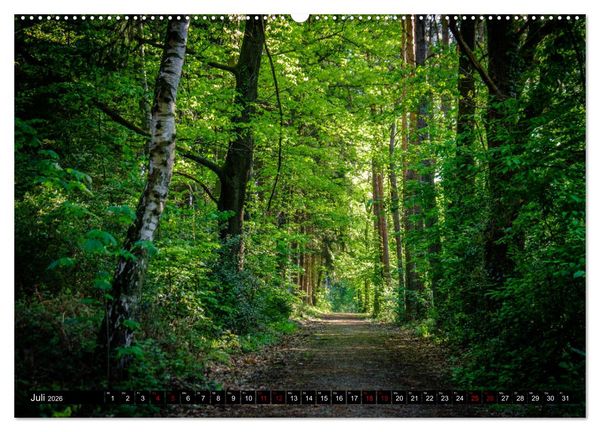 Produktbild: Wege des einfachen Gl&uuml;cks - Spazierg&auml;nge im Wald (Wandkalender 2026 DIN A2 quer), CALVENDO Monatskalender