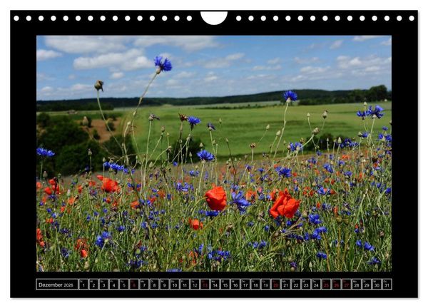 Produktbild: Roter Mohn, bunte Wiesen (Wandkalender 2026 DIN A4 quer), CALVENDO Monatskalender