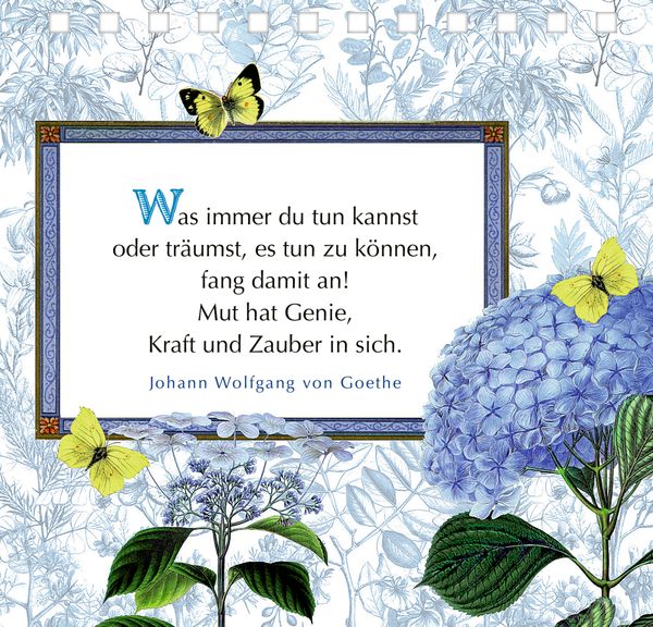 Produktbild: Viele gute W&uuml;nsche