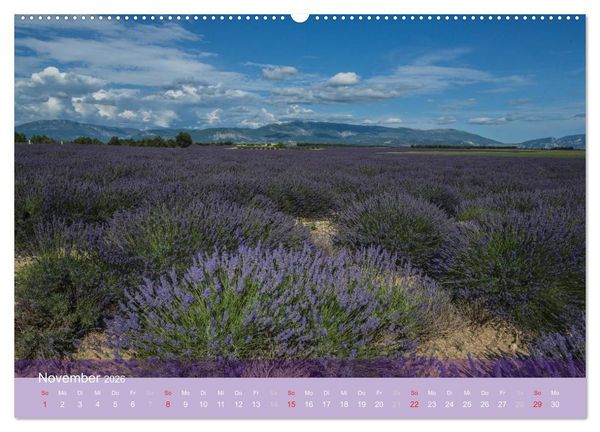 Produktbild: Die Farbe des Lavendels (hochwertiger Premium Wandkalender 2026 DIN A2 quer), Kunstdruck in Hochglanz