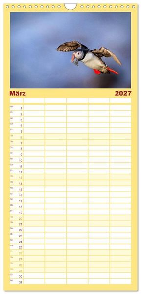 Produktbild: Familienplaner 2027 - Puffins - Papageientaucher auf Island mit 5 Spalten (Wandkalender, 21 x 45 cm) CALVENDO