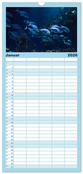 Produktbild: Familienplaner 2026 - Fische und Meerestiere mit 5 Spalten (Wandkalender, 21 x 45 cm) CALVENDO
