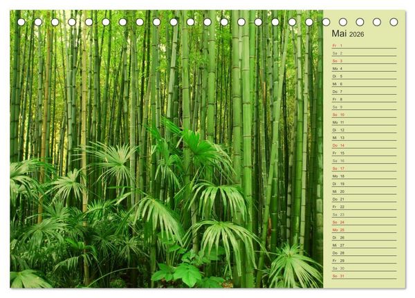Produktbild: BAMBUS (Tischkalender 2026 DIN A5 quer), CALVENDO Monatskalender