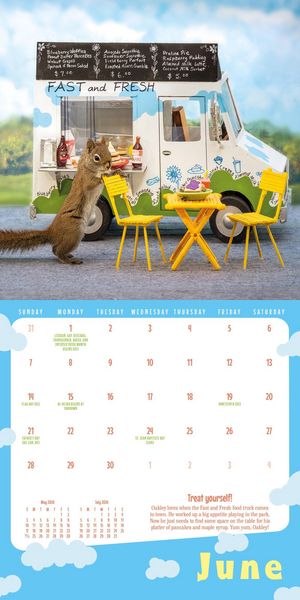 Produktbild: Secret Life of Squirrels Mini Wall Calendar 2026