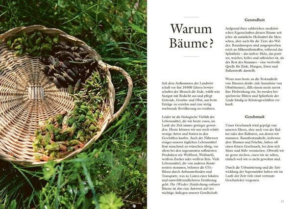 Produktbild: Wundervolle Waldk&uuml;che