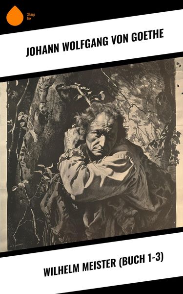 Produktbild: Wilhelm Meister (Buch 1-3)