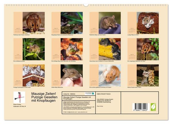 Produktbild: Mausige Zeiten! Putzige Gesellen mit Knopfaugen (hochwertiger Premium Wandkalender 2026 DIN A2 quer), Kunstdruck in Hochglanz