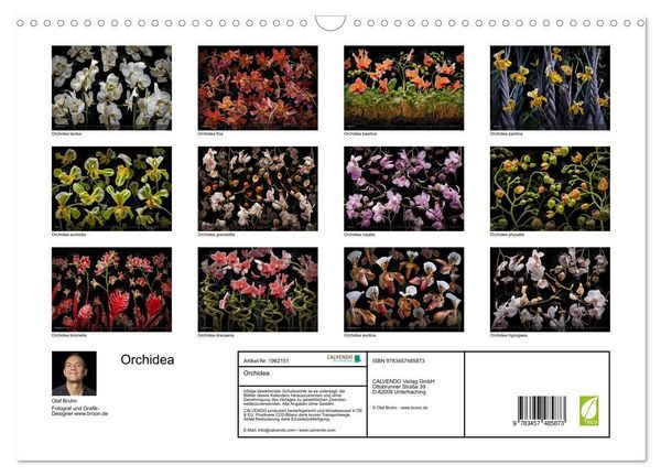 Produktbild: Orchidea (Wandkalender 2026 DIN A3 quer), CALVENDO Monatskalender