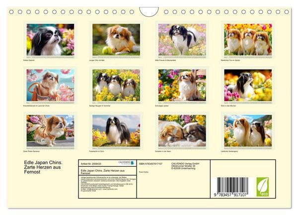 Produktbild: Edle Japan Chins. Zarte Herzen aus Fernost (Wandkalender 2026 DIN A4 quer), CALVENDO Monatskalender