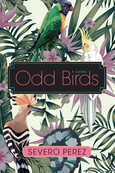 Produktbild: Odd Birds