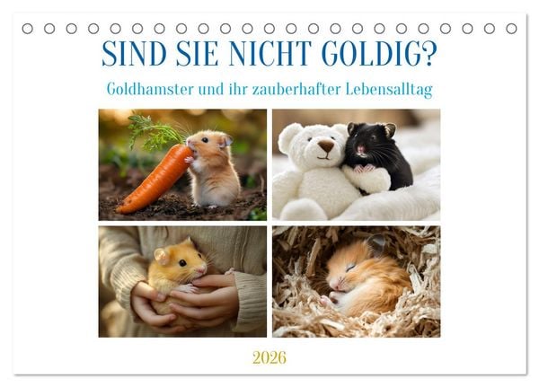 Sind sie nicht goldig? (Tischkalender 2026 DIN A5 quer), CALVENDO Monatskalender