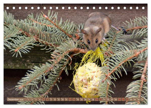 Produktbild: Gr&uuml;sse von der Maus! (Tischkalender 2026 DIN A5 quer), CALVENDO Monatskalender