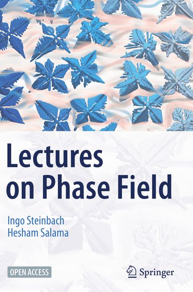 Produktbild: Lectures on Phase Field