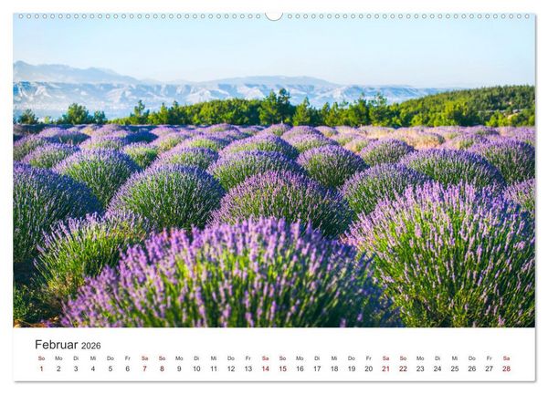 Produktbild: Lavendel - Die violette Wunderblume (hochwertiger Premium Wandkalender 2026 DIN A2 quer), Kunstdruck in Hochglanz