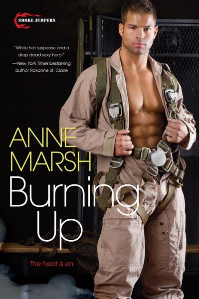Produktbild: Burning Up