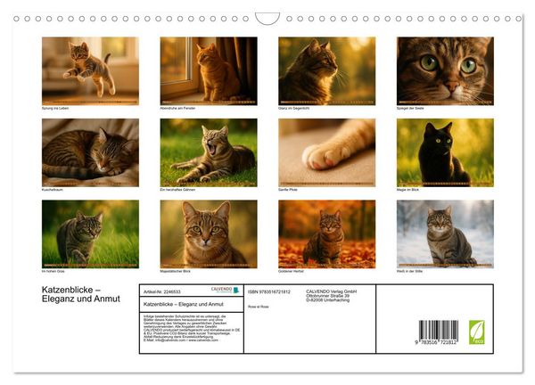 Produktbild: Katzenblicke &ndash; Eleganz und Anmut (Wandkalender 2026 DIN A3 quer), CALVENDO Monatskalender