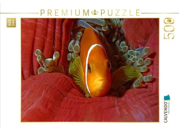 CALVENDO Puzzle Nemo, wie auf Samt gebettet | 500 Teile Lege-Größe 48 × 36 cm Foto-Puzzle für Erwachsene