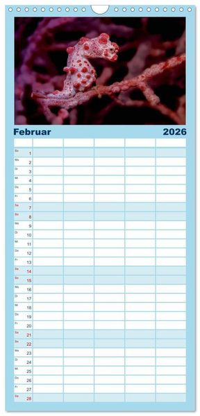 Produktbild: Familienplaner 2026 - Hippocampus oder einfach nur Seepferdchen mit 5 Spalten (Wandkalender, 21 x 45 cm) CALVENDO