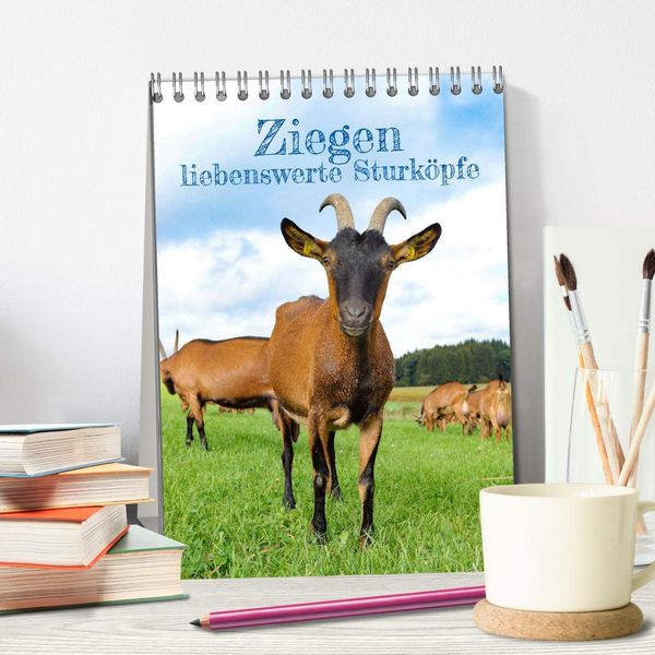 Produktbild: Ziegen - liebenswerte Sturk&ouml;pfe (Tischkalender 2026 DIN A5 hoch), CALVENDO Monatskalender