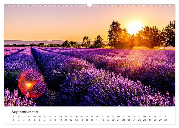 Produktbild: Lavendel - Die violette Wunderblume (hochwertiger Premium Wandkalender 2026 DIN A2 quer), Kunstdruck in Hochglanz