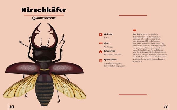 Produktbild: Insekten & Krabbeltiere