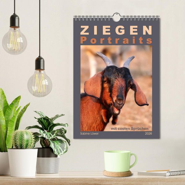 Produktbild: Ziegenportraits (Wandkalender 2026 DIN A4 hoch), CALVENDO Monatskalender