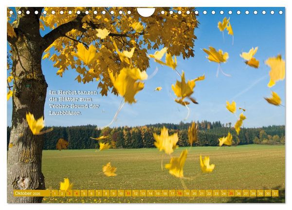 Produktbild: Rollentausch &ndash; Bebilderte Wortspielereien (Wandkalender 2026 DIN A4 quer), CALVENDO Monatskalender