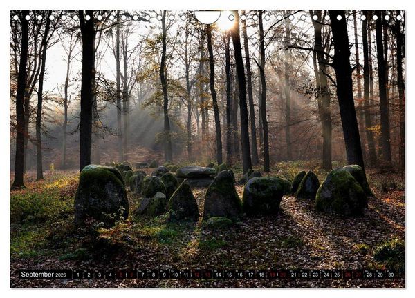 Produktbild: L&uuml;neburger Heide (Wandkalender 2026 DIN A4 quer), CALVENDO Monatskalender