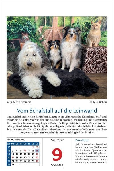 Produktbild: Hunde Tageskalender 2027