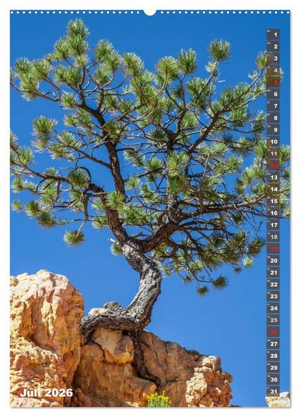 Produktbild: BRYCE CANYON Natur Pur (Wandkalender 2026 DIN A2 hoch), CALVENDO Monatskalender