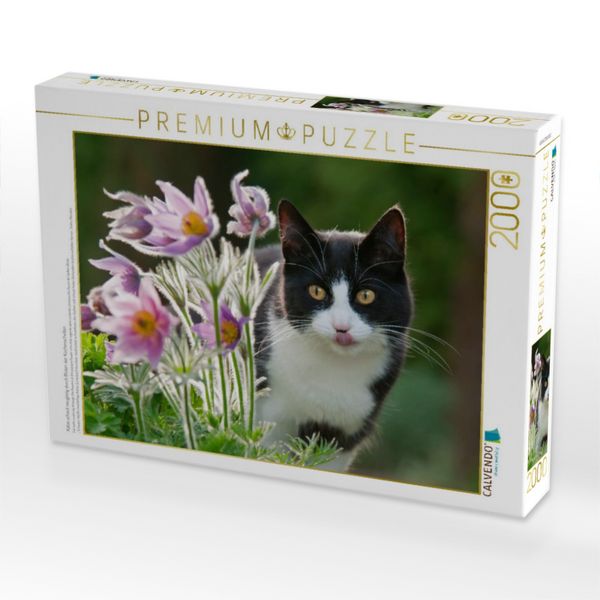 Produktbild: Katze schaut neugierig durch Bl&uuml;ten der K&uuml;chenschellen (Puzzle)