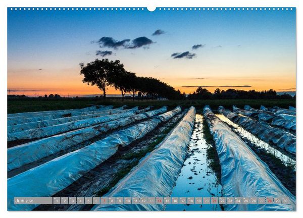 Produktbild: Kurpfalz 2026 (Wandkalender 2026 DIN A2 quer), CALVENDO Monatskalender