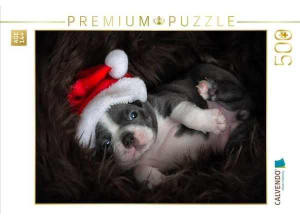 CALVENDO Puzzle Boston-Terrier | 500 Teile Lege-Größe 48 × 36 cm Foto-Puzzle für Erwachsene