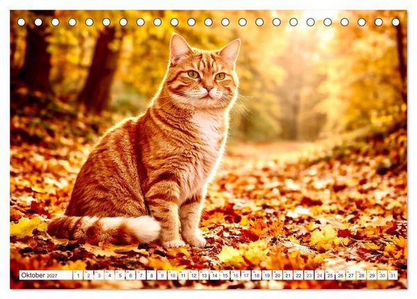 Produktbild: Rote Katzen (Tischkalender 2027 DIN A5 quer), CALVENDO Monatskalender