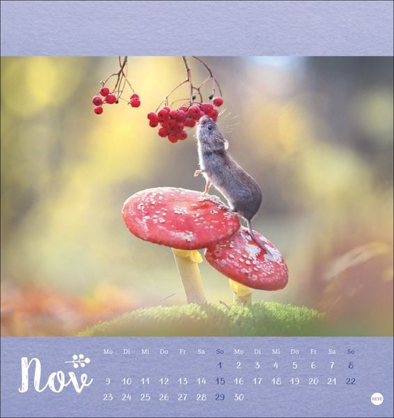 Produktbild: Vadim Trunov: Märchenhaftes Waldleben Postkartenkalender 2026