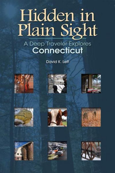 Produktbild: Hidden in Plain Sight