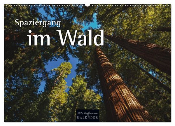 Produktbild: Spaziergang im Wald (Wandkalender 2027 DIN A2 quer), CALVENDO Monatskalender