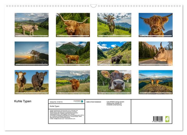 Produktbild: Kuhle Typen (Wandkalender 2026 DIN A2 quer), CALVENDO Monatskalender